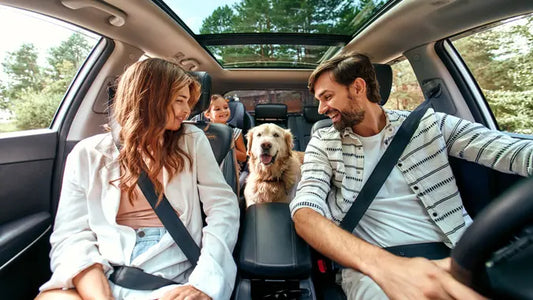 Top Car Interior Accessories You Should Own in 2025
